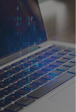 ������վ�������蹫˾