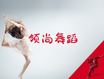 �����赸seo�Ż�